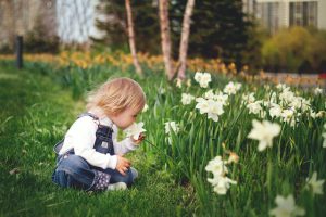 dziecko wącha kwiatki w ogrodzie